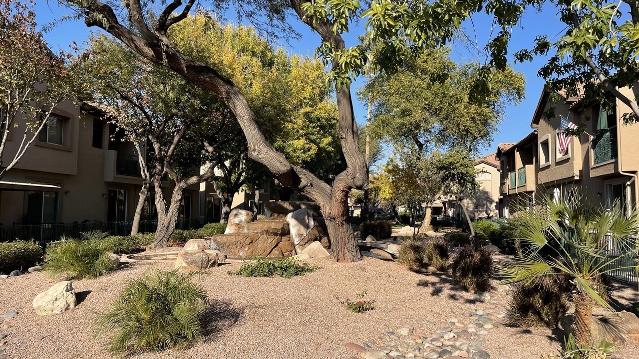 Photo of Outdoor in Superstition Springs