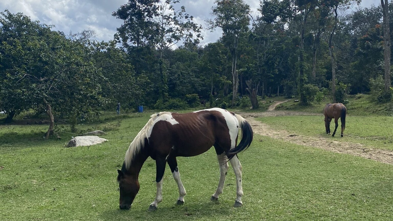 Photo of Outdoor in La Joya