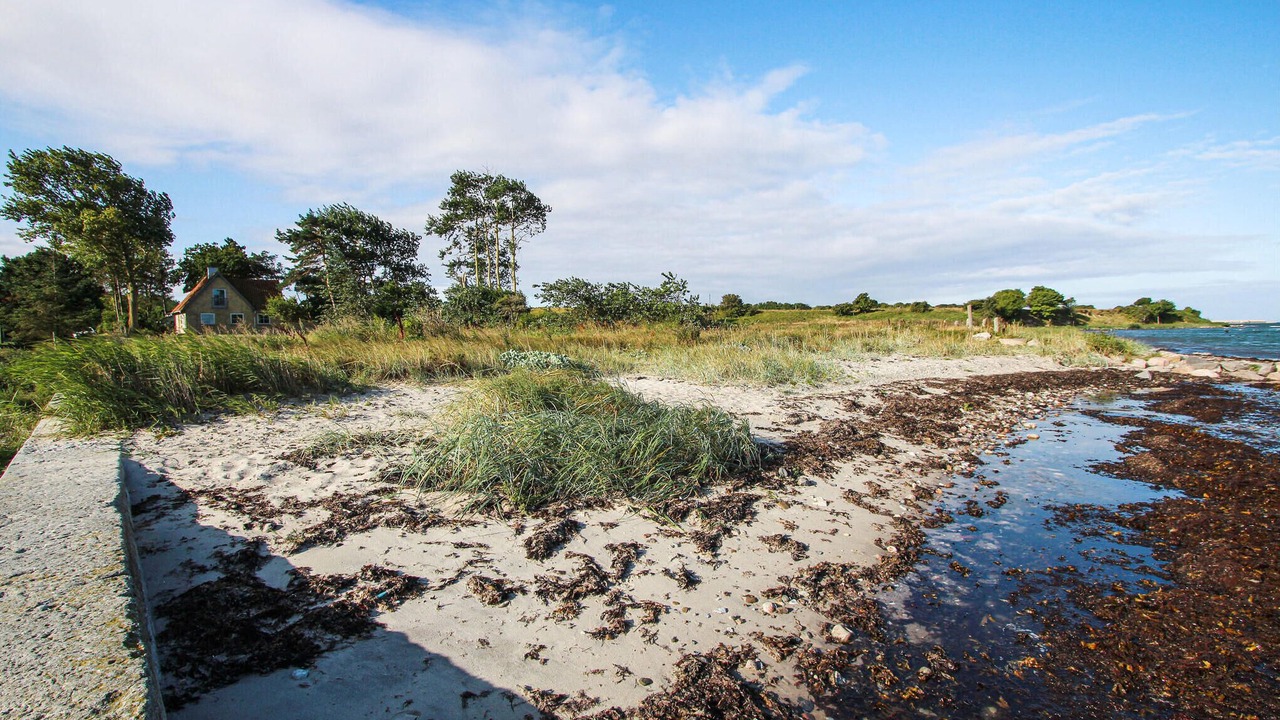 Photo of Others in Samsø