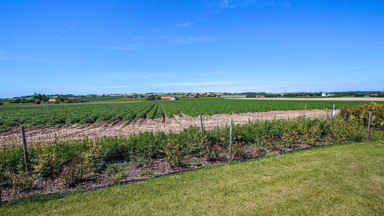 Photo of Bedroom in Marup