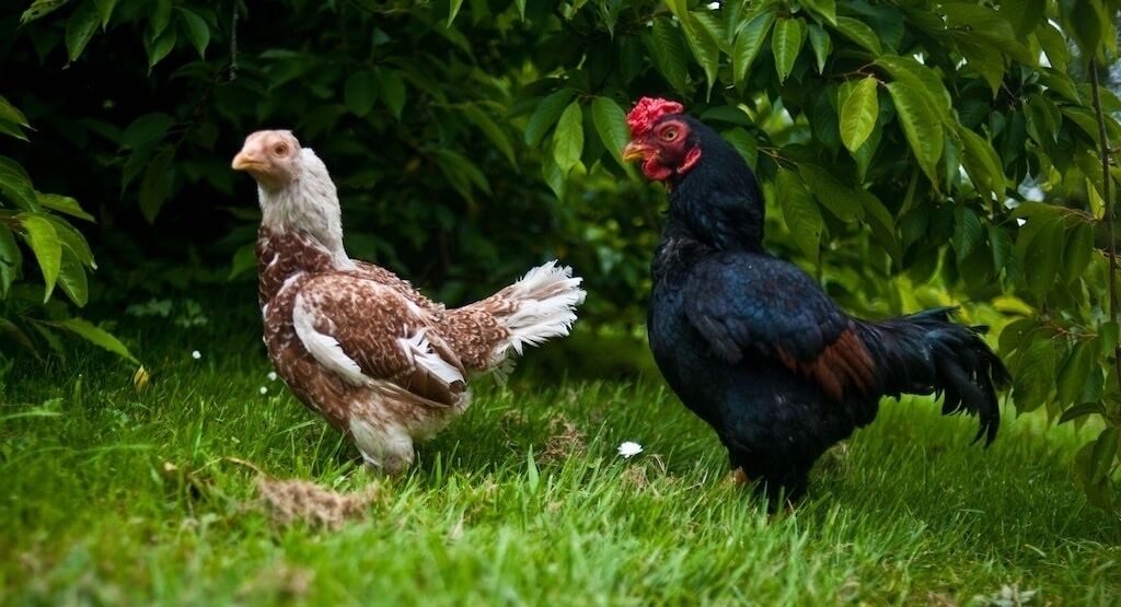 Photo of Outdoor in St Wenn