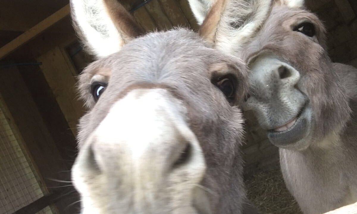 Photo of Others in St Wenn