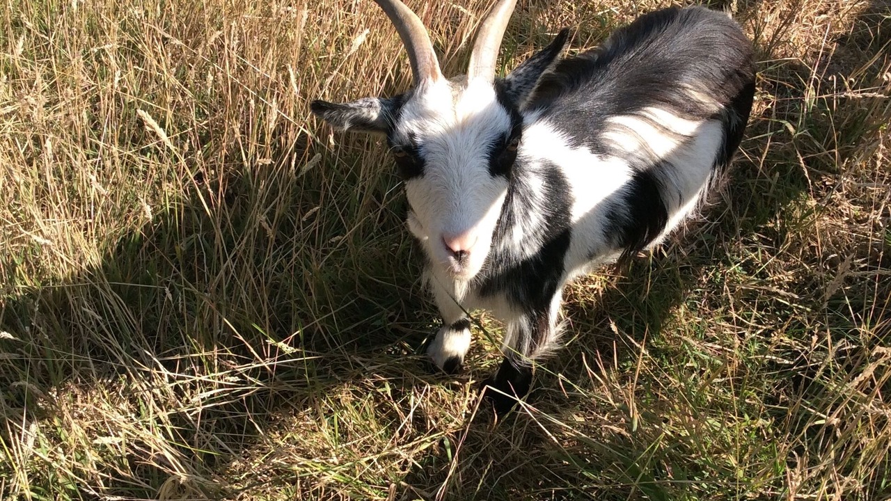 Photo of Outdoor in St Wenn