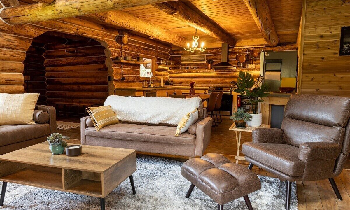 Photo of Livingroom in Talkeetna