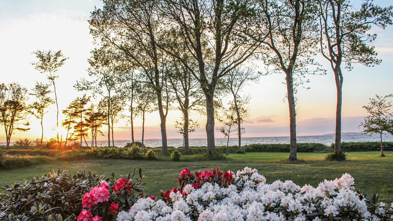 Photo of Bedroom in Samsø