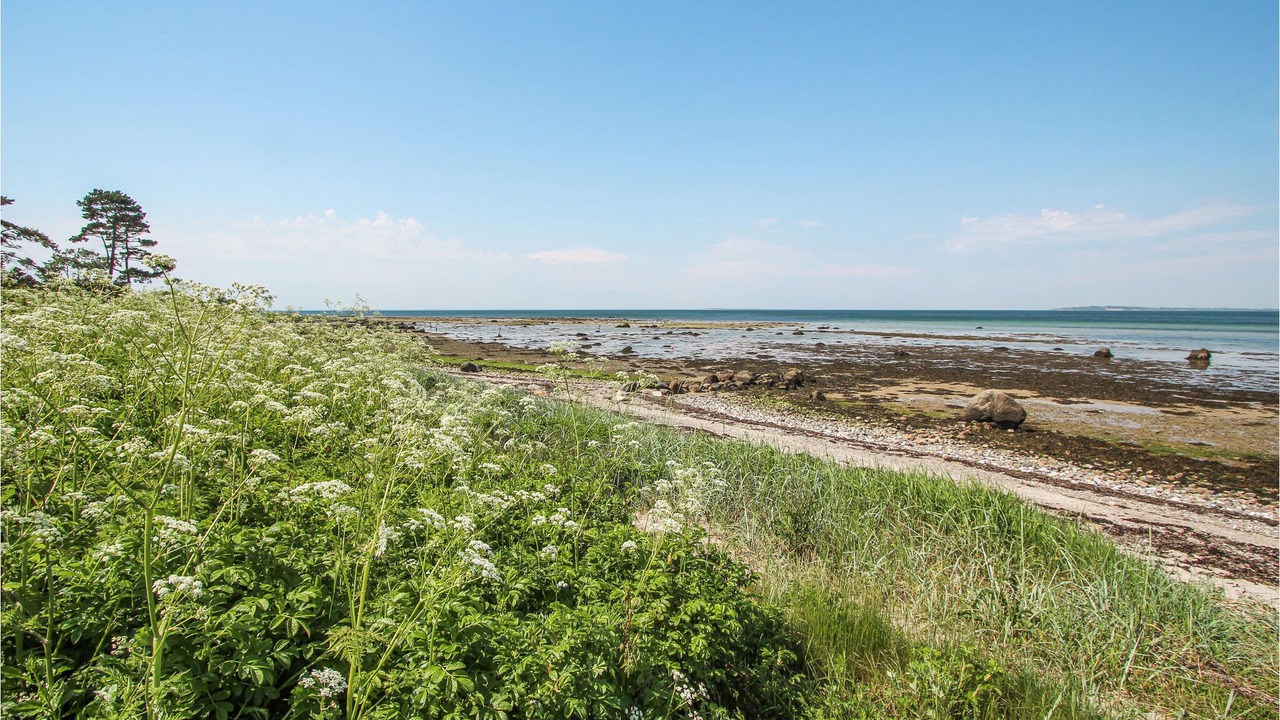 Photo of Others in Samsø