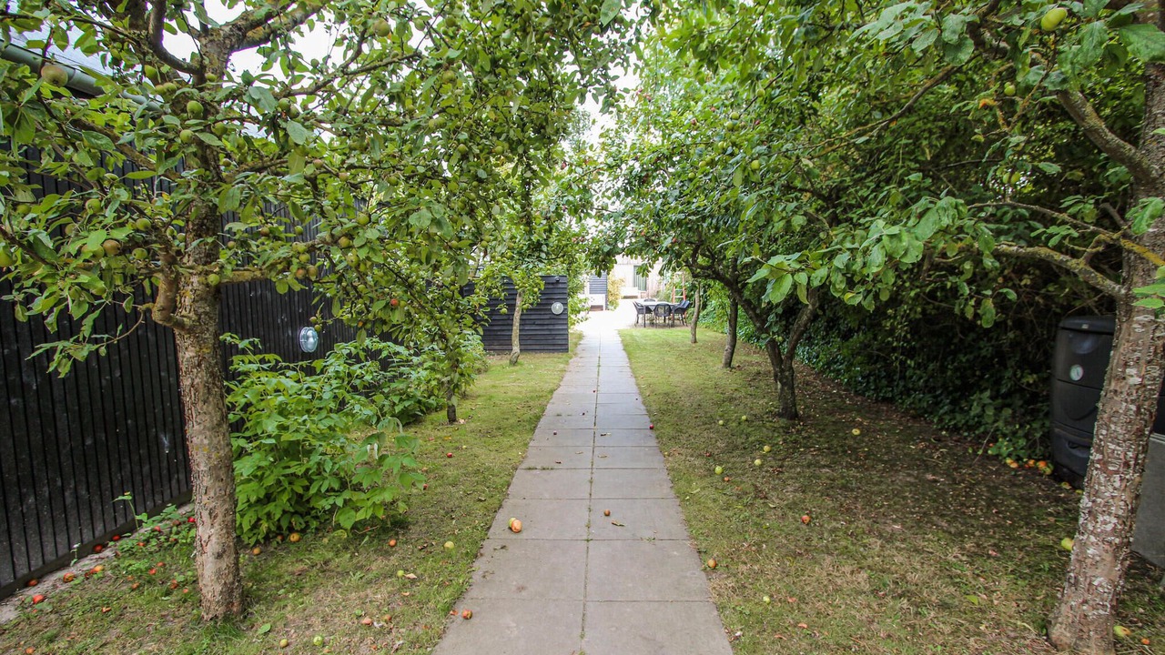 Photo of Others in Samsø