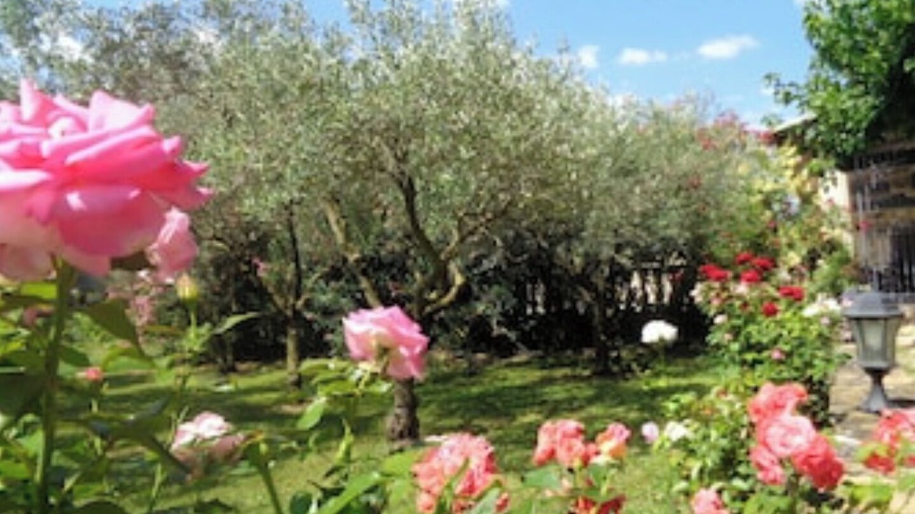 Photo of Outdoor in Jonquieres