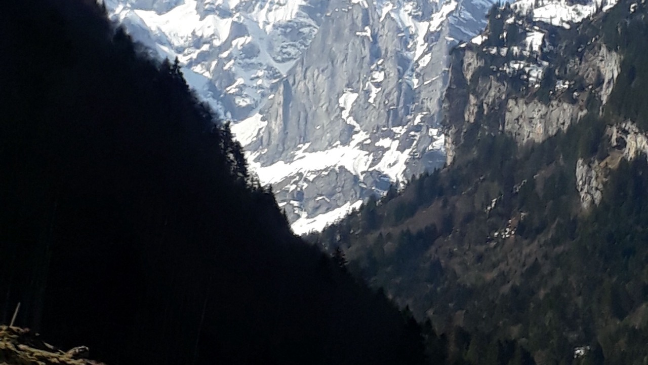 Photo of Others in Isenthal