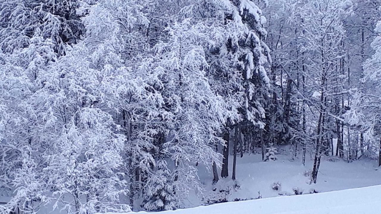 Photo of Outdoor in Isenthal