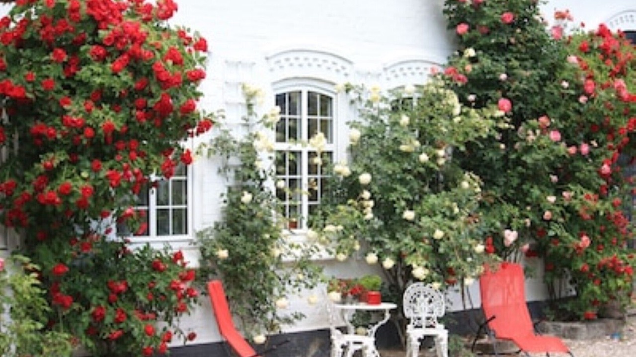 Photo of Patio Balcony in Broager