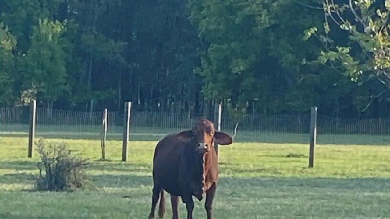 Photo of Outdoor in Huntsville