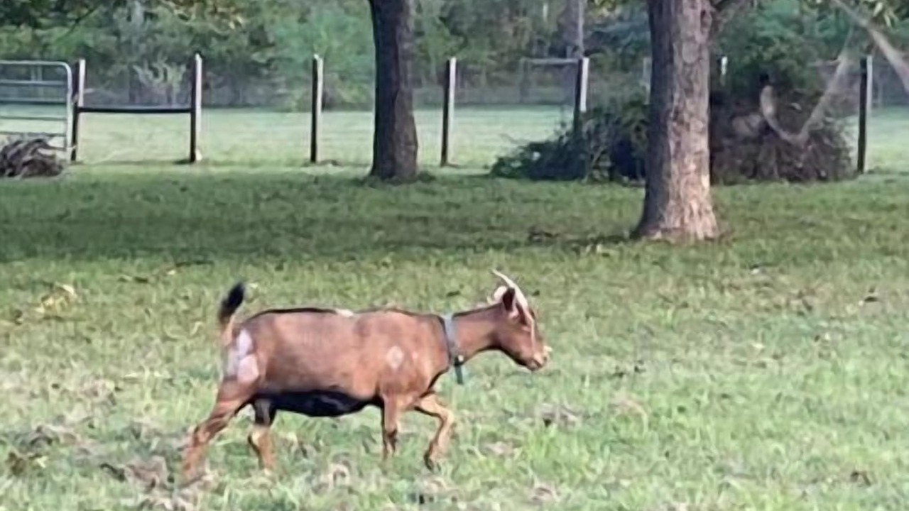 Photo of Others in Huntsville