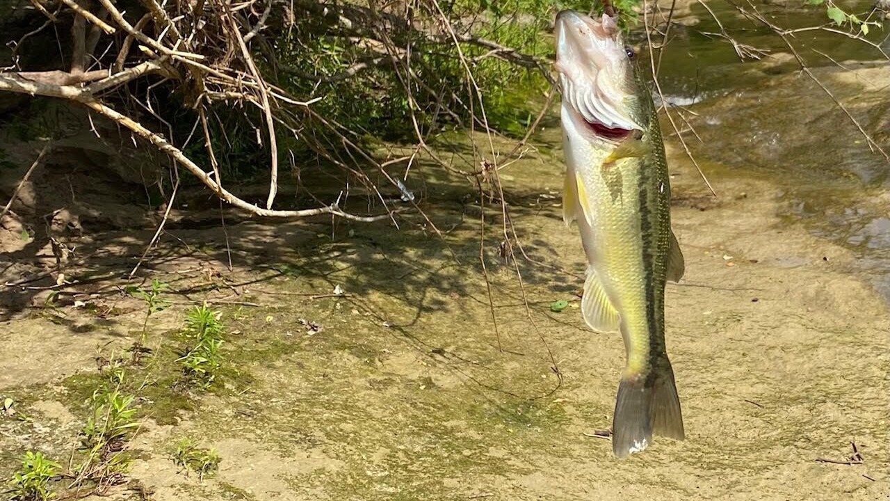 Photo of Others in Huntsville