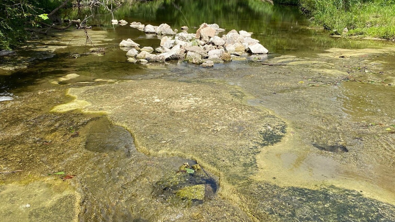 Photo of Others in Huntsville