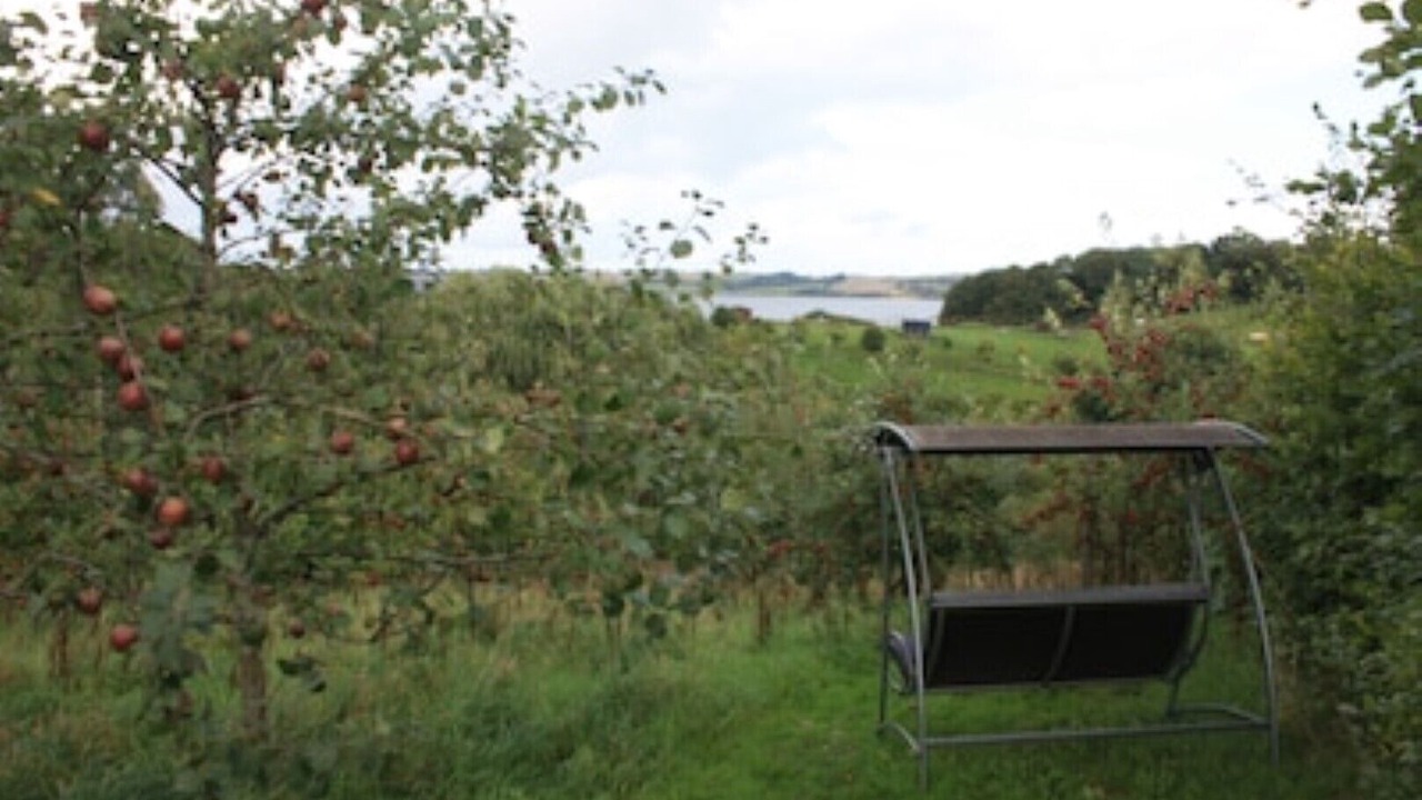 Photo of Outdoor in Broager