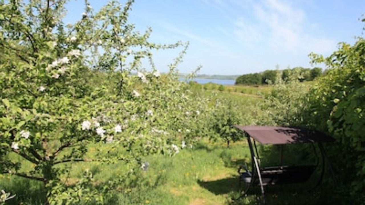 Photo of Outdoor in Broager