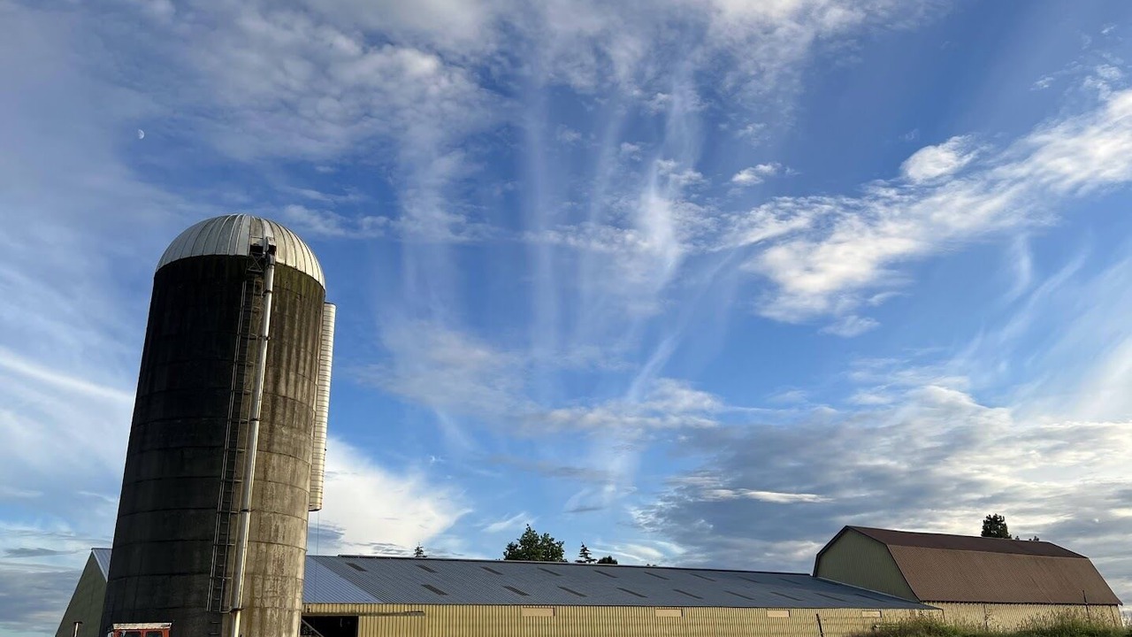 Photo of Others in Lynden