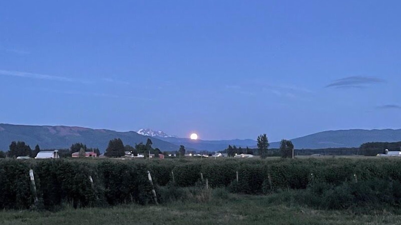 Photo of Others in Lynden