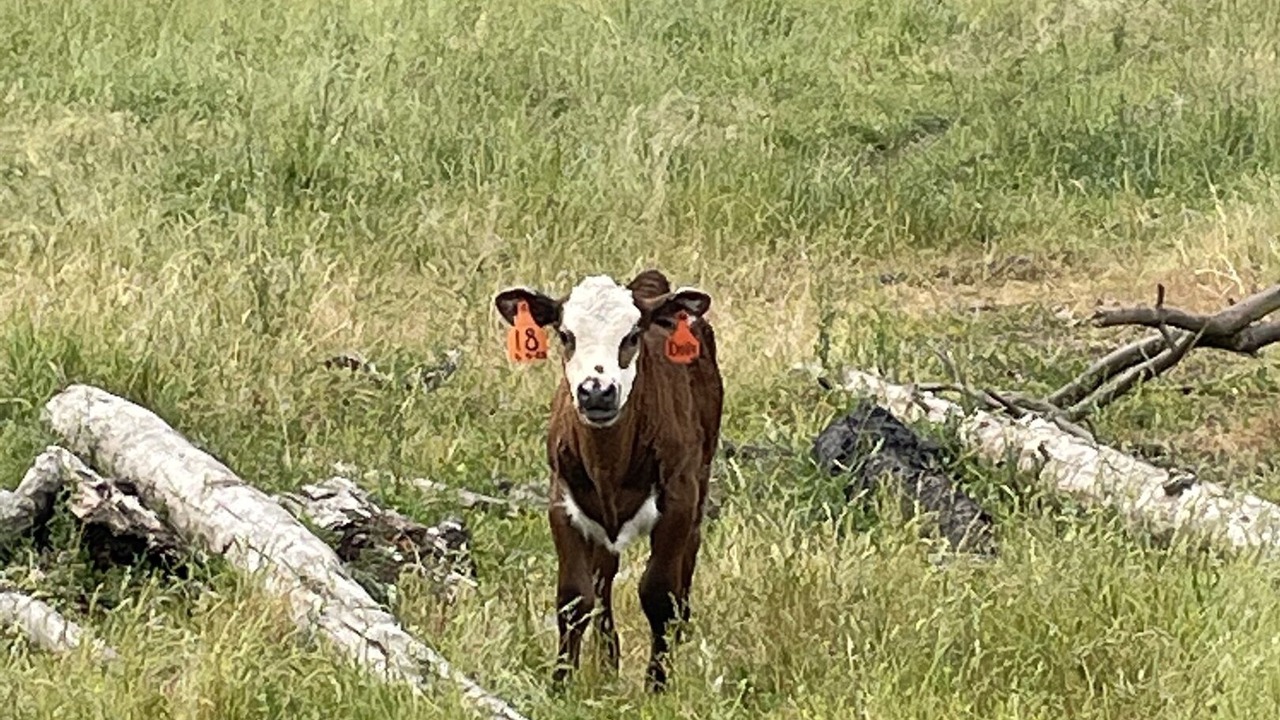 Photo of Others in Lynden