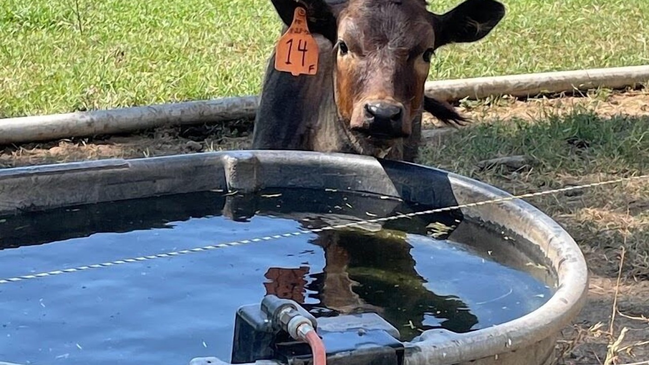 Photo of Others in Lynden