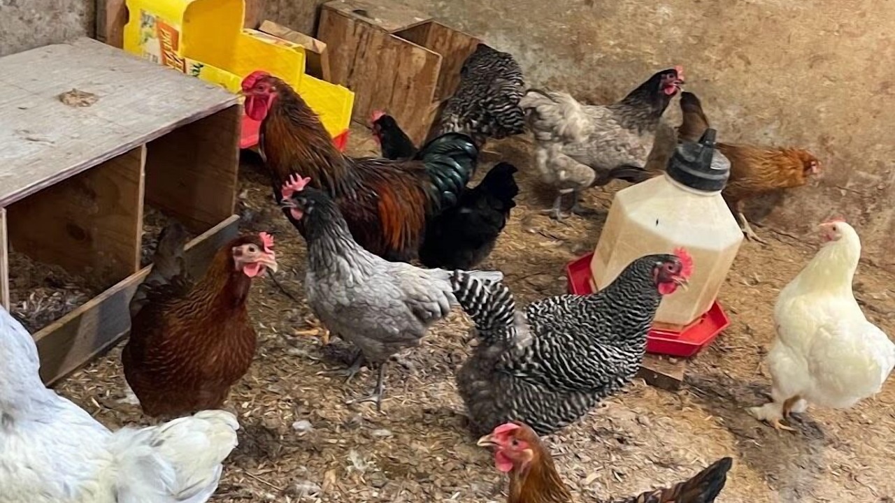 Photo of Others in Lynden