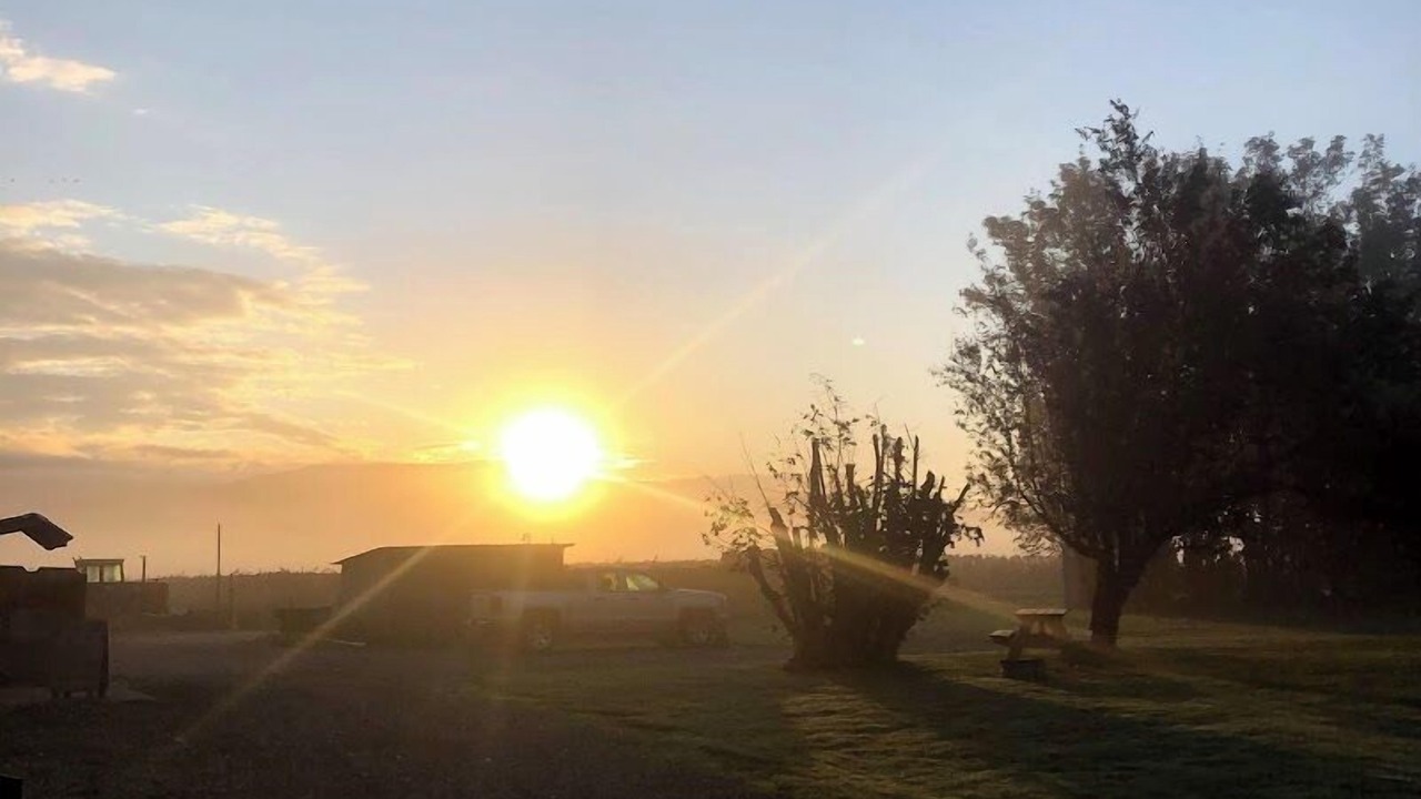 Photo of Others in Lynden