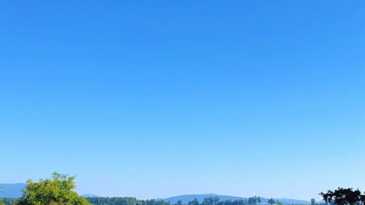 Photo of Others in Lynden