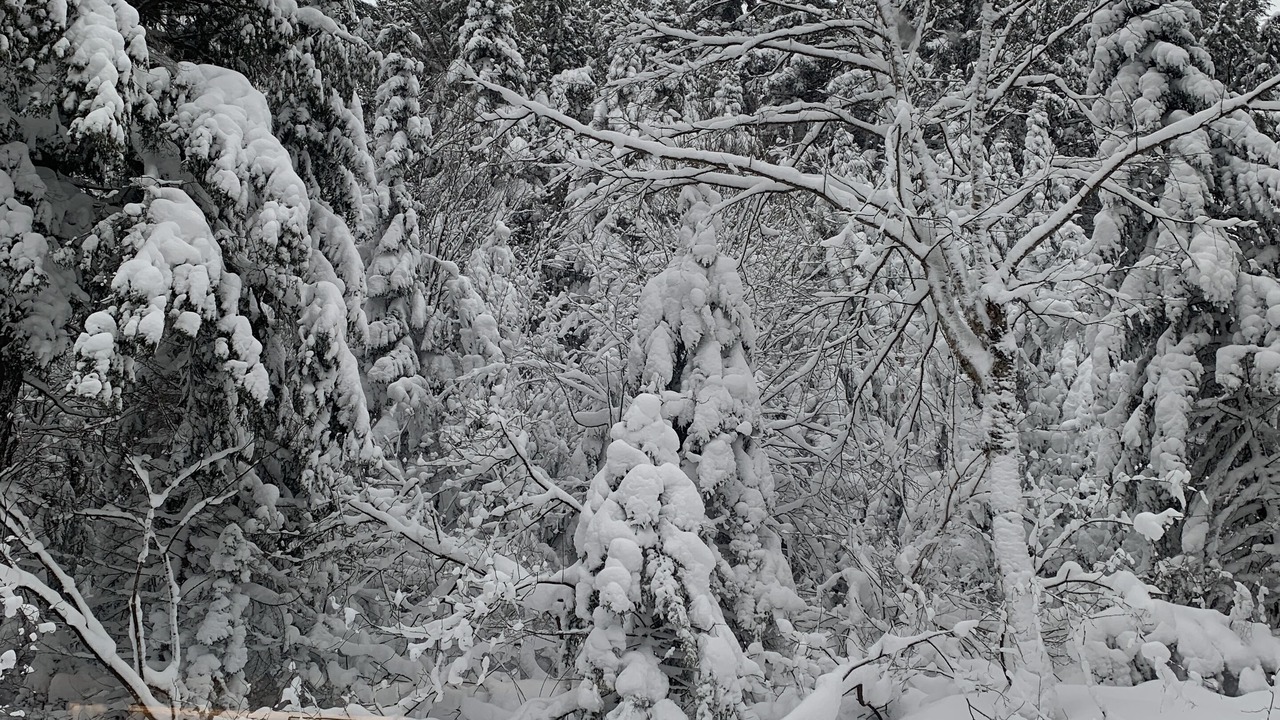 Photo of Others in Lac Superieur Village