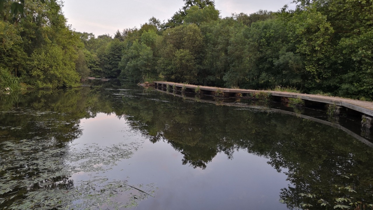 Photo of Outdoor in Saint-Laurent-sur-Sevre