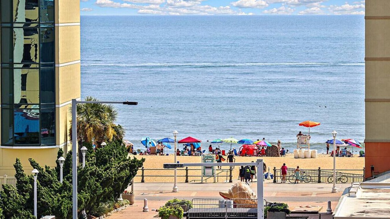 Photo of Others in Northeast Virginia Beach