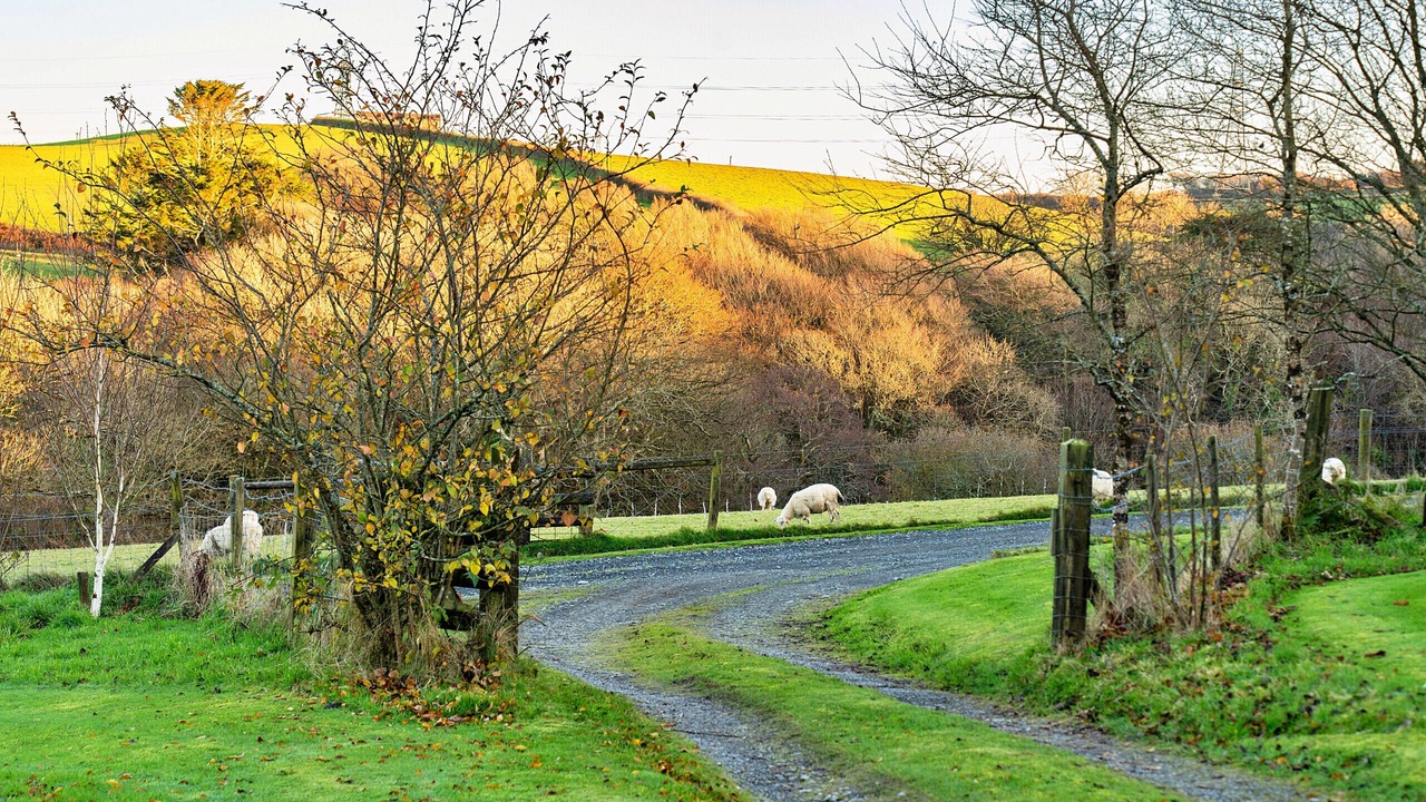 Photo of Others in Boscastle