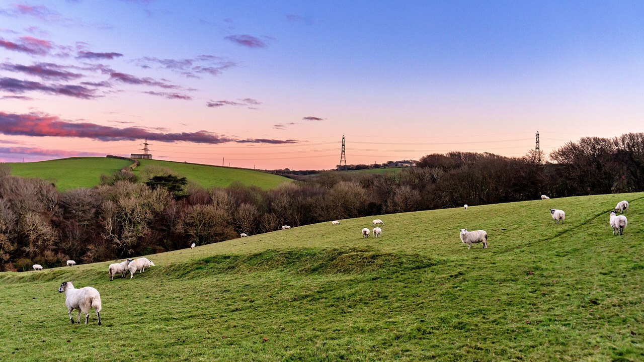 Photo of Others in Boscastle