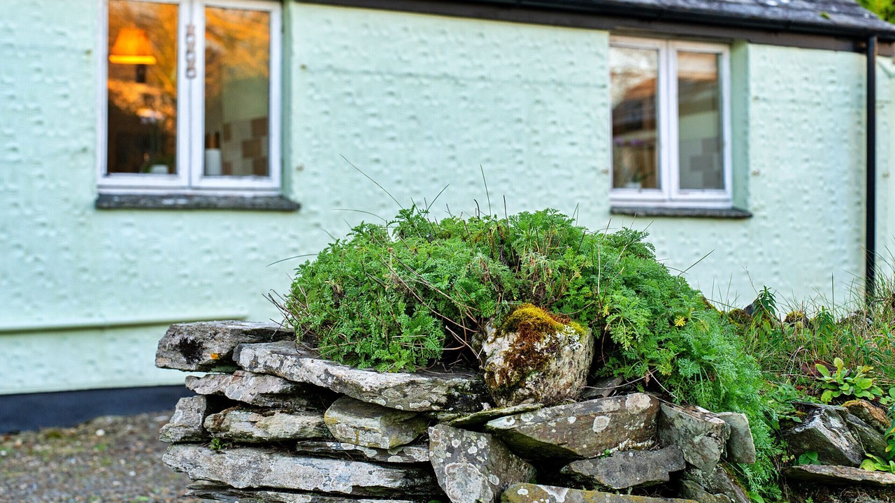 Photo of Outdoor in Boscastle