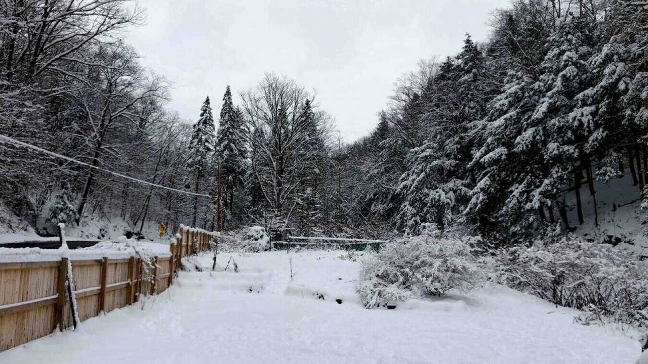 Photo of Others in Blodgett Mills