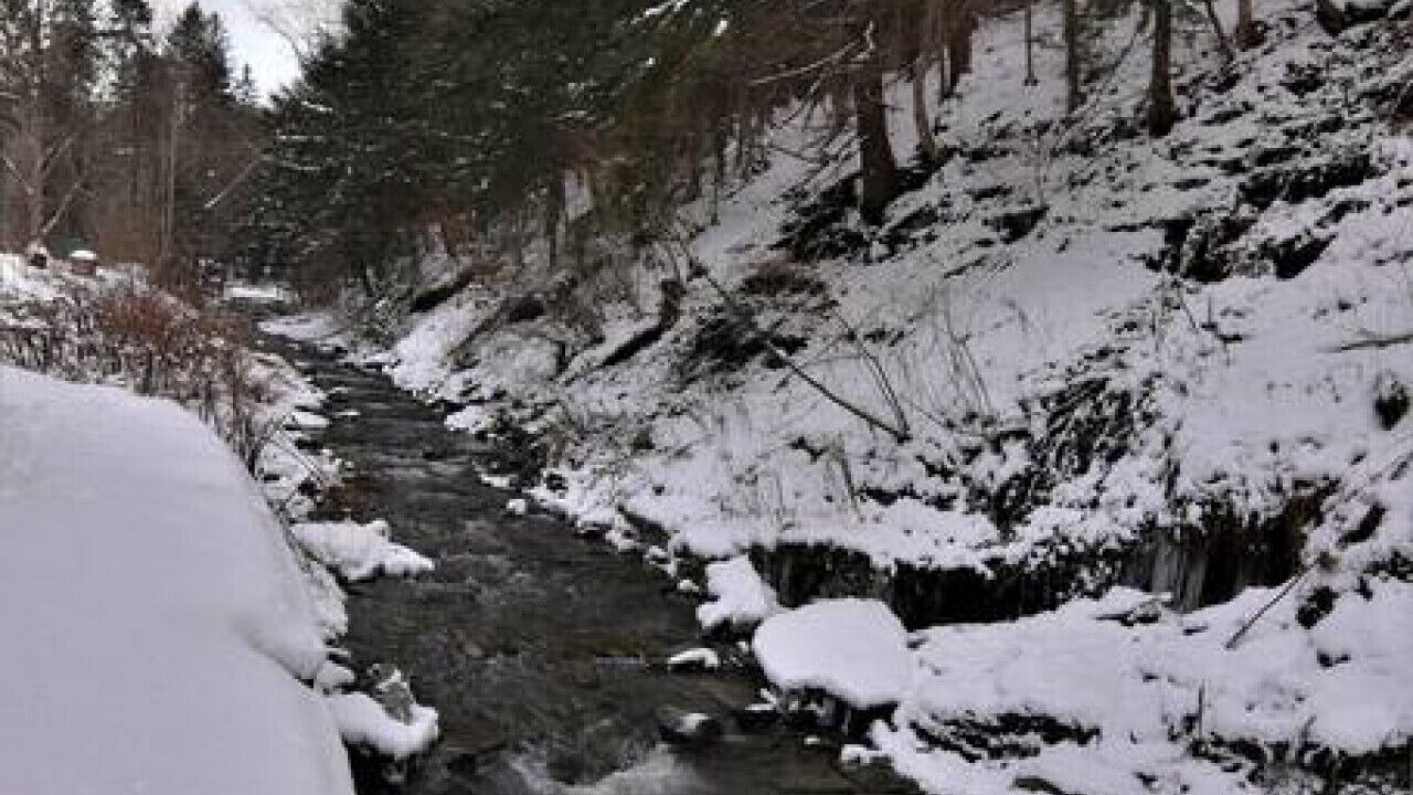 Photo of Others in Blodgett Mills