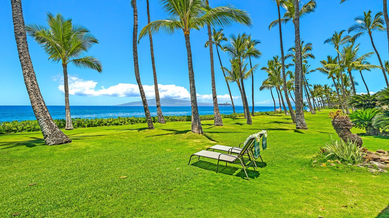 Photo of Outdoor in Downtown Lahaina