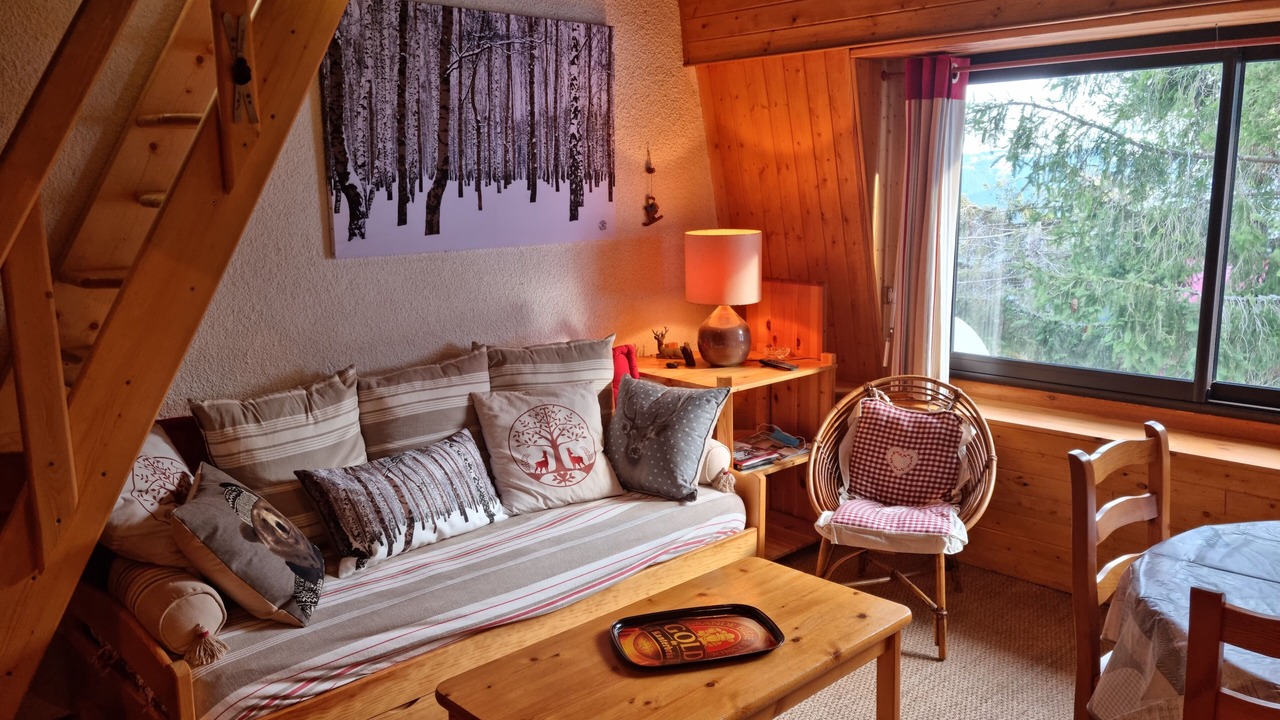 Photo of Livingroom in Pla d'Adet