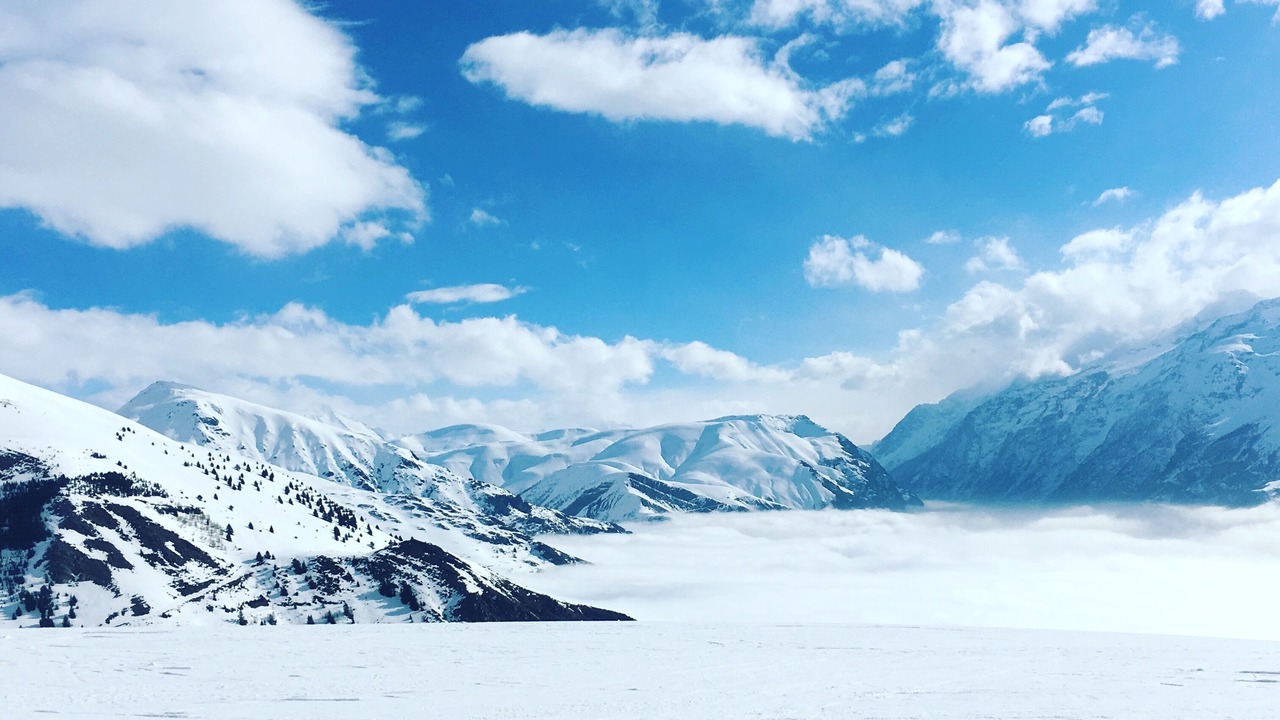 Photo of Others in Auris