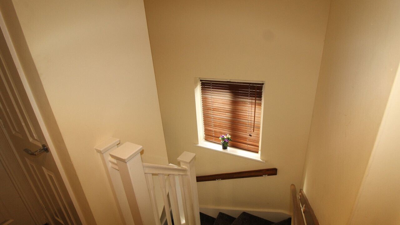 Photo of Others in Sheffield