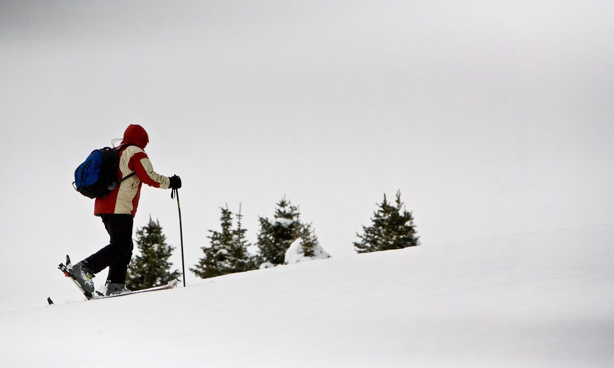 Photo of Others in Downieville-Lawson-Dumont