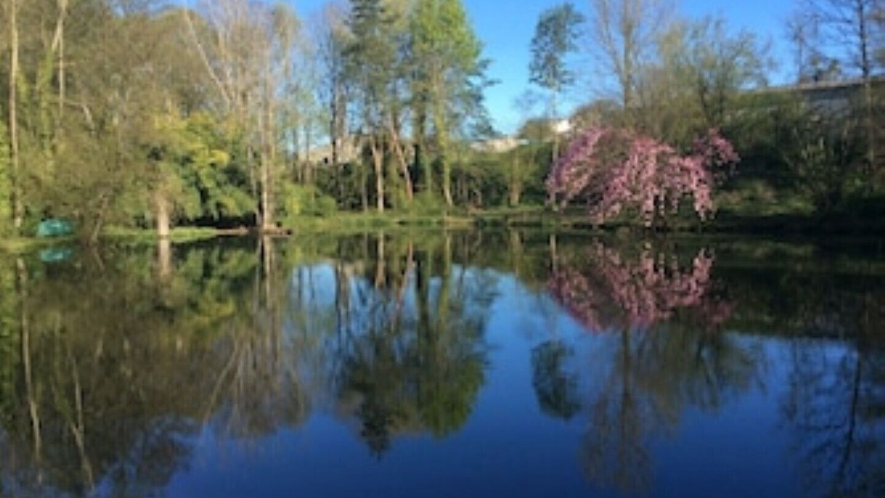 Photo of Outdoor in Guerquesalles
