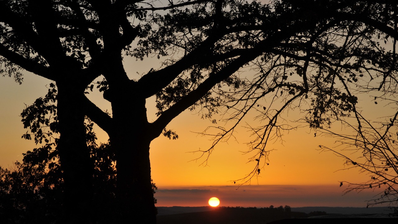 Photo of Others in Cahuzac-sur-Vere
