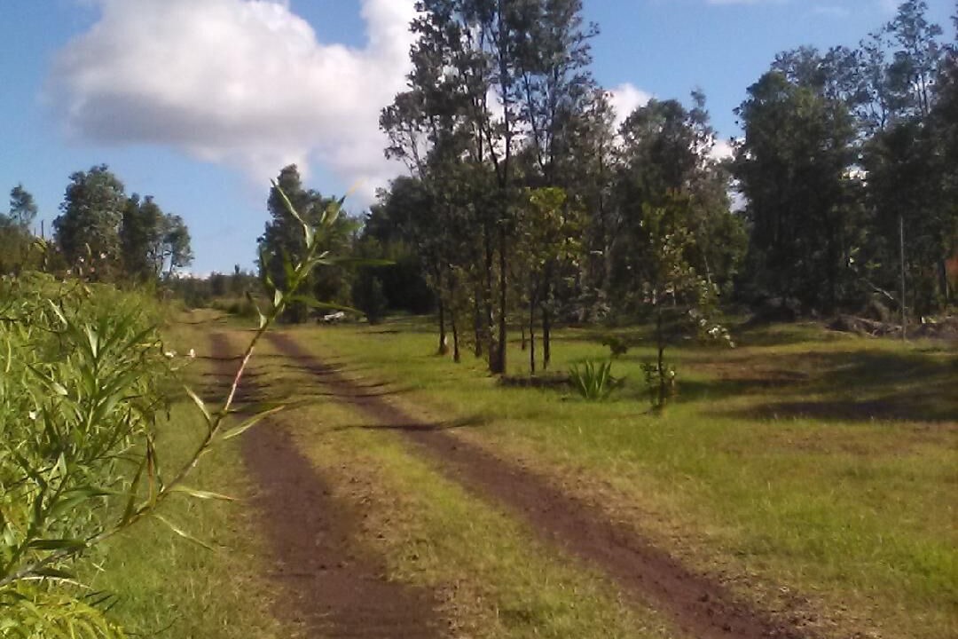 Photo of Outdoor in Mountain View