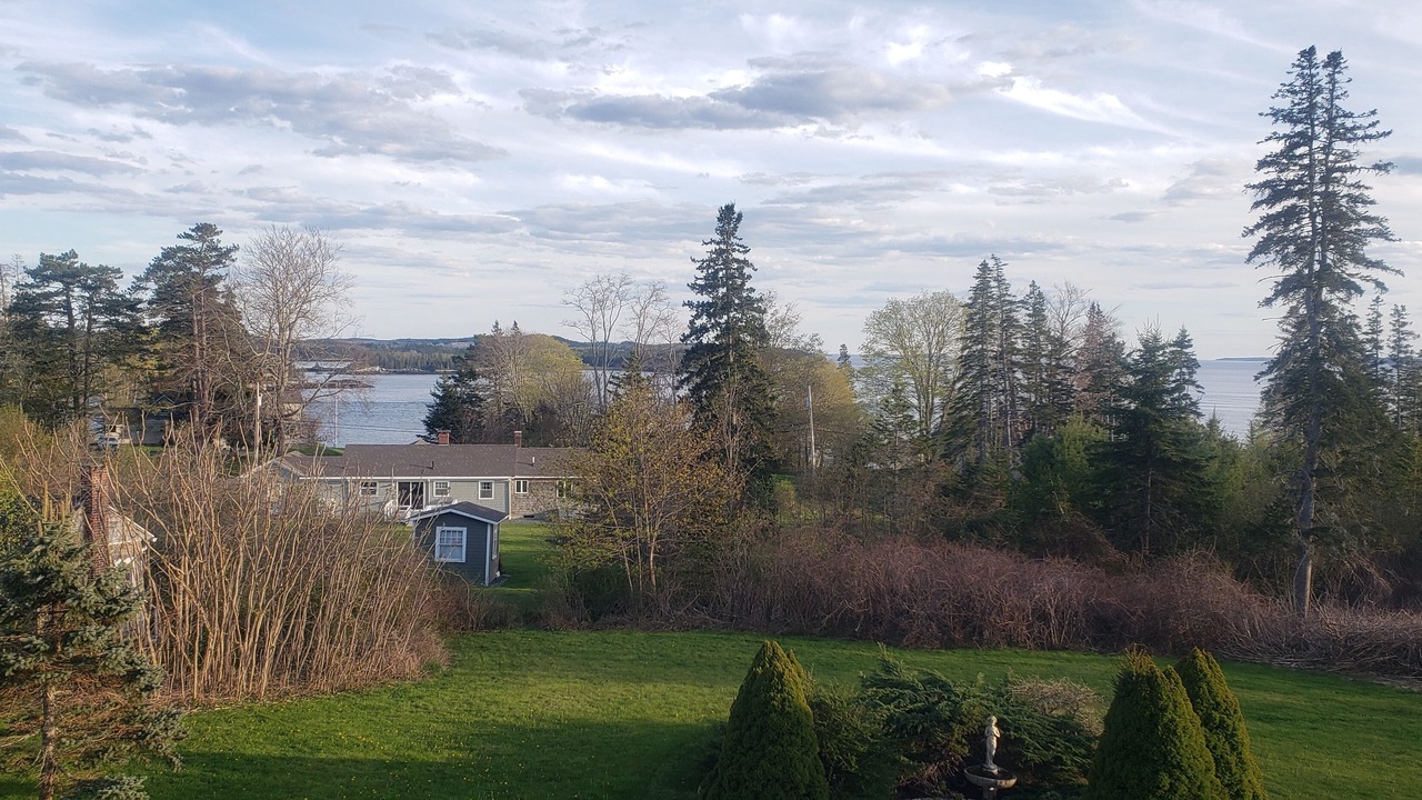 Photo of Outdoor in Castine