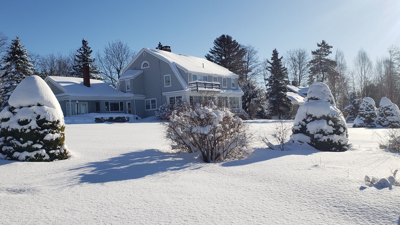 Photo of Outdoor in Castine