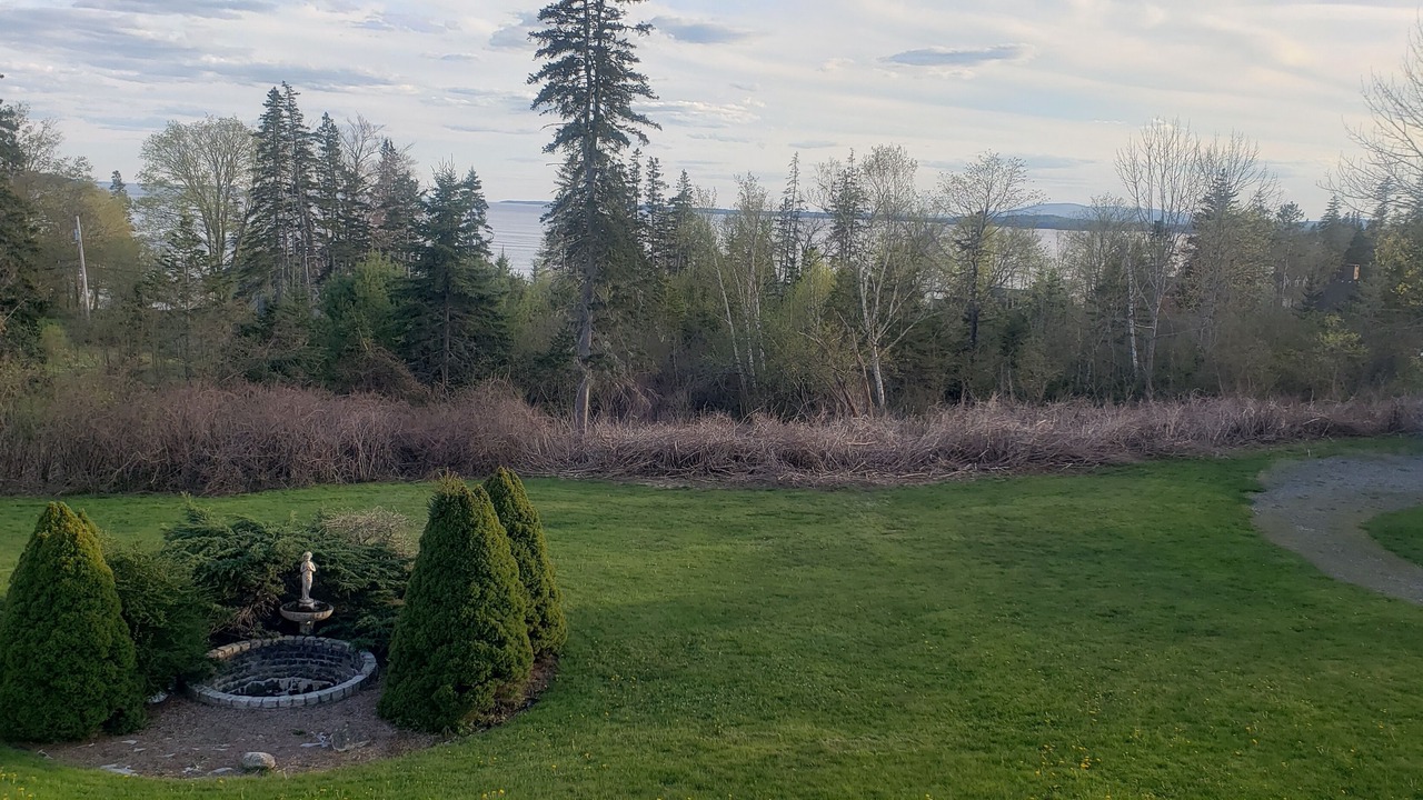 Photo of Outdoor in Castine