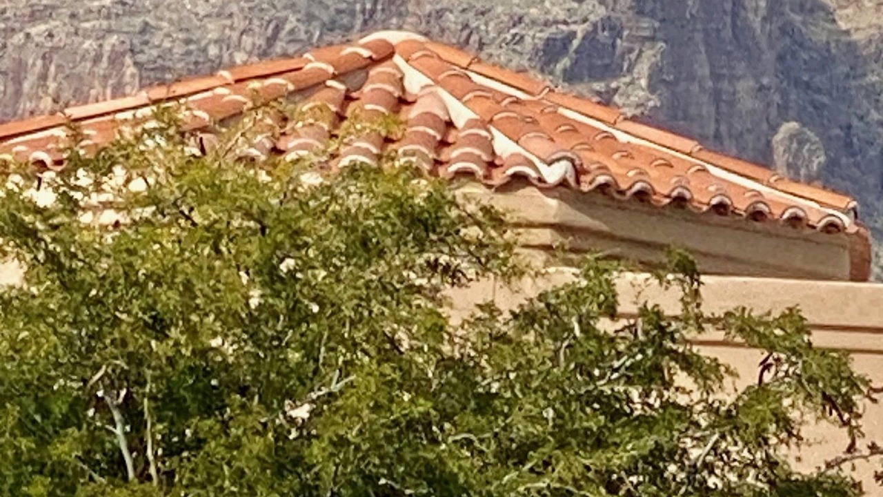 Photo of Others in The Foothills
