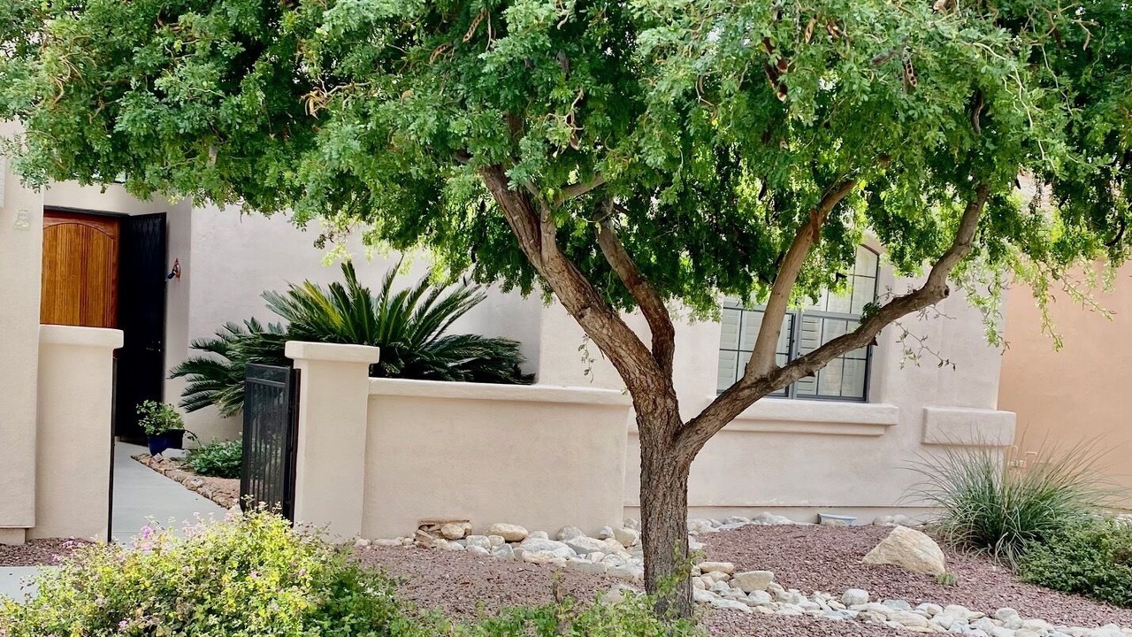 Photo of Outdoor in The Foothills