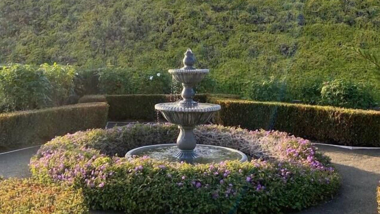 Photo of Outdoor in Felicita